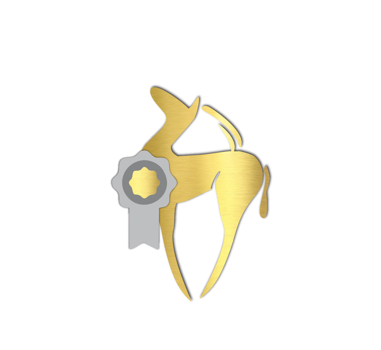 Profesionalizem Image